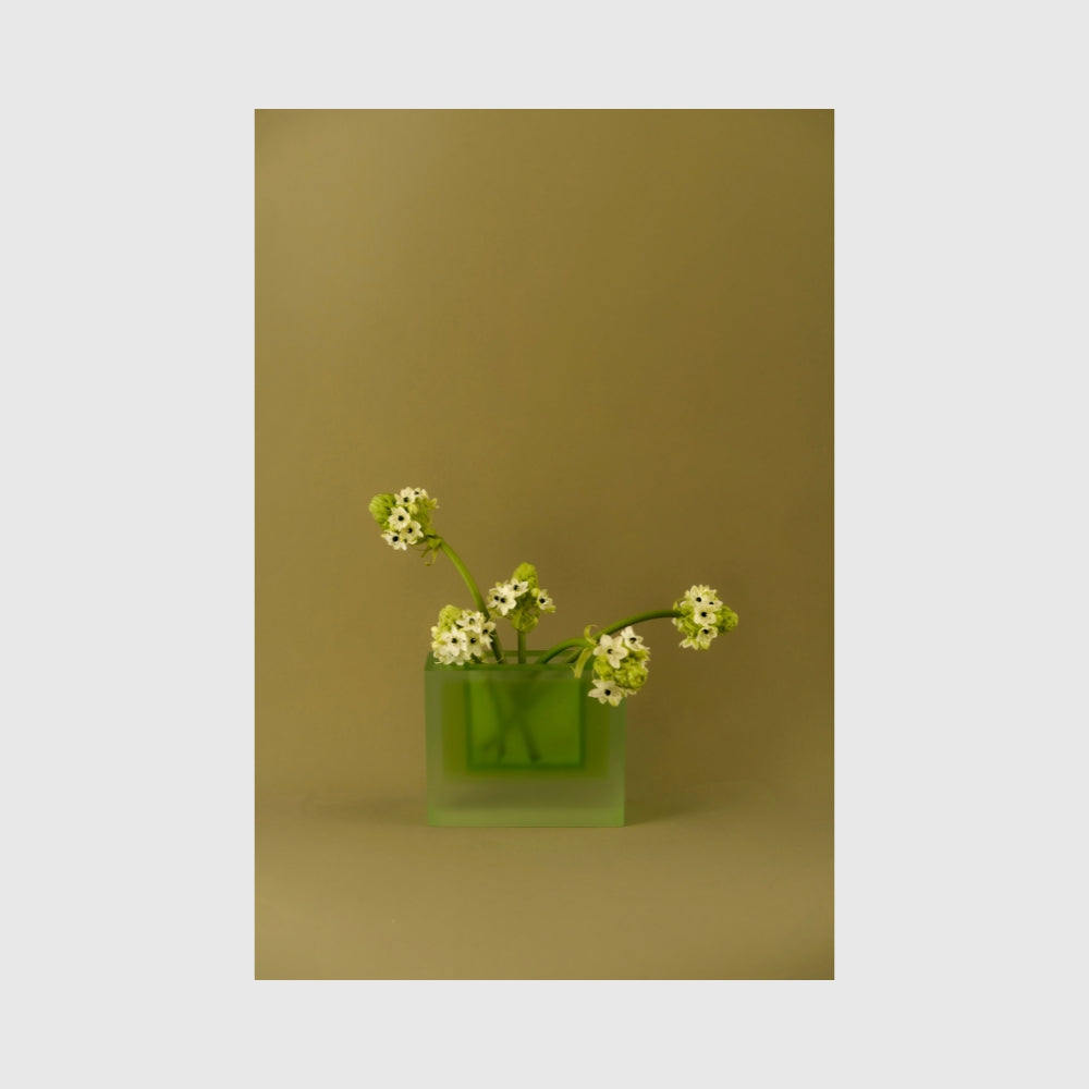 In Vase - Olivine