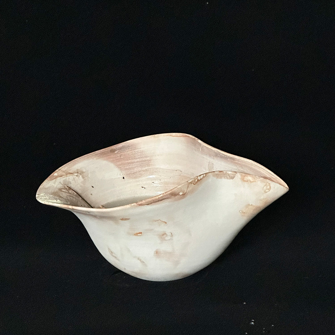 Shell Vase