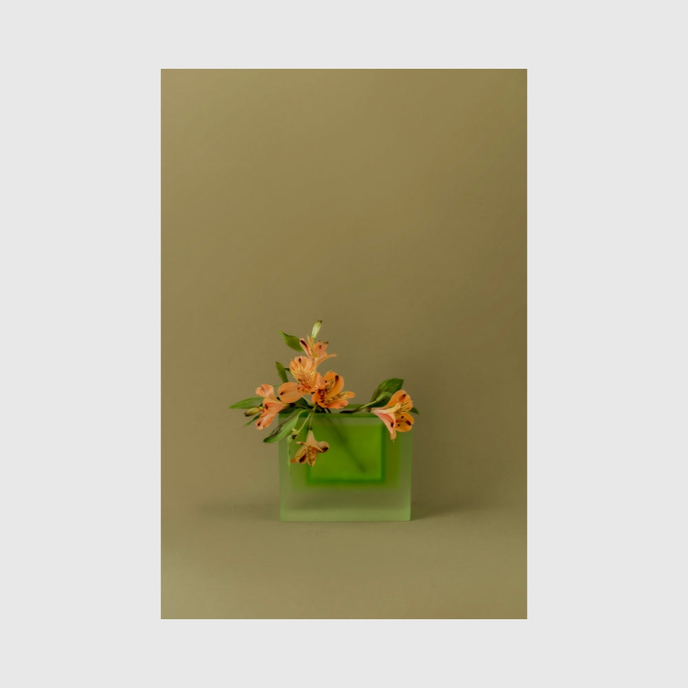 In Vase - Olivine