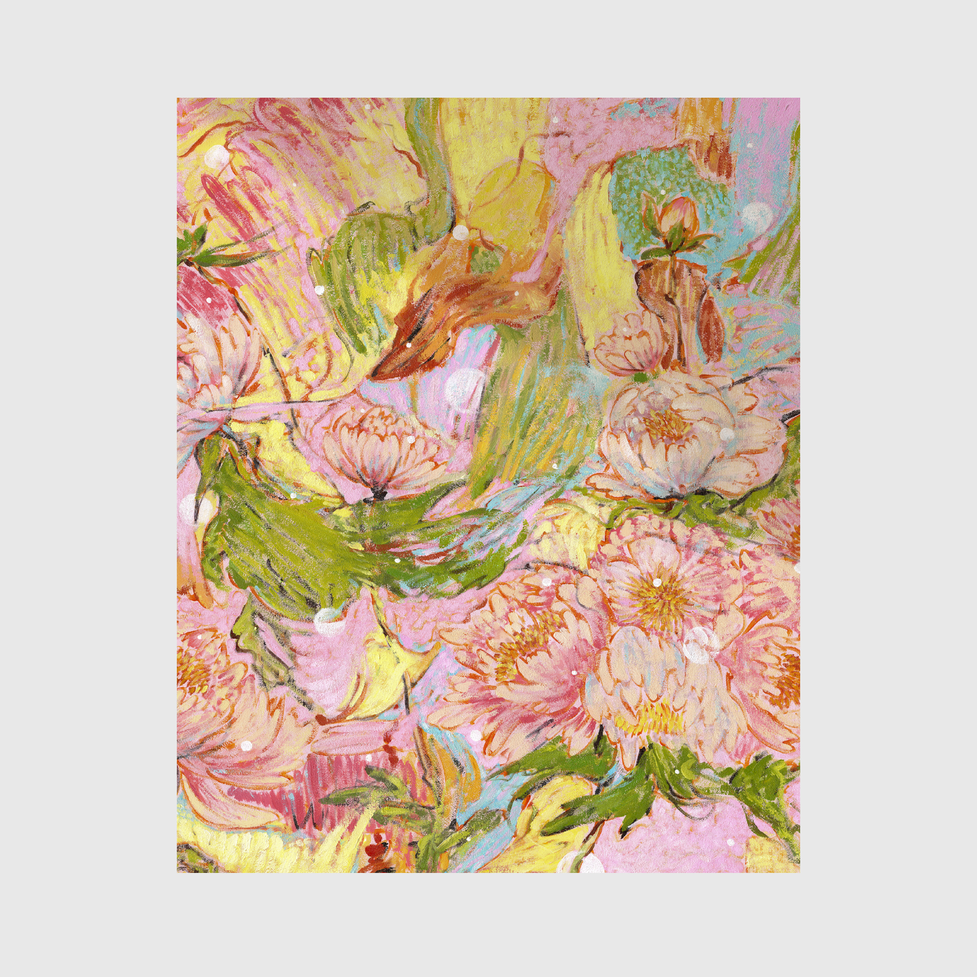 Paeonia