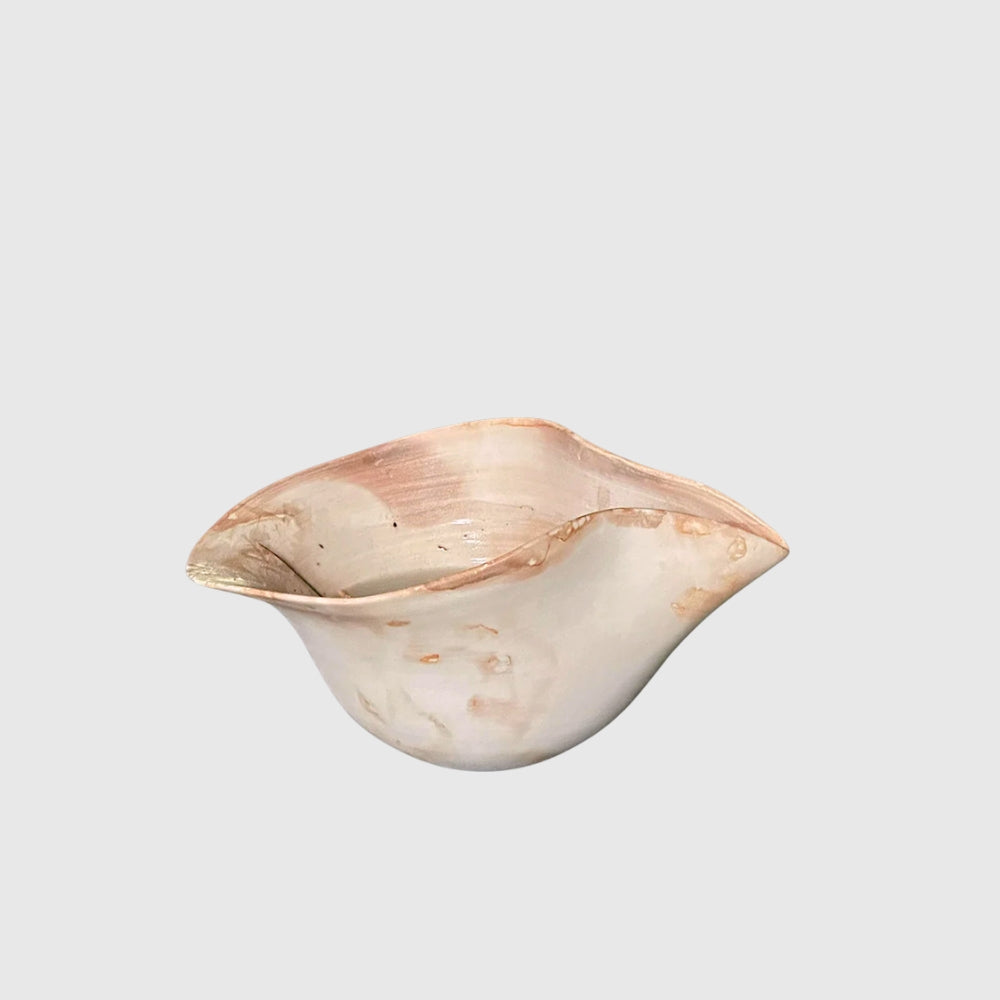 Shell Vase